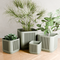 Planters and Vase