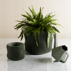 Muted Green