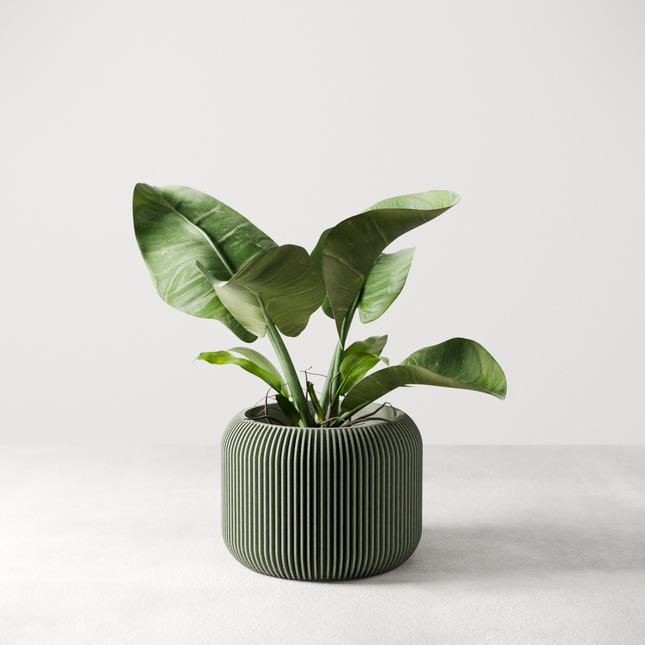 Orbis Planter-1
