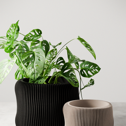 BUBBLY Planter-0