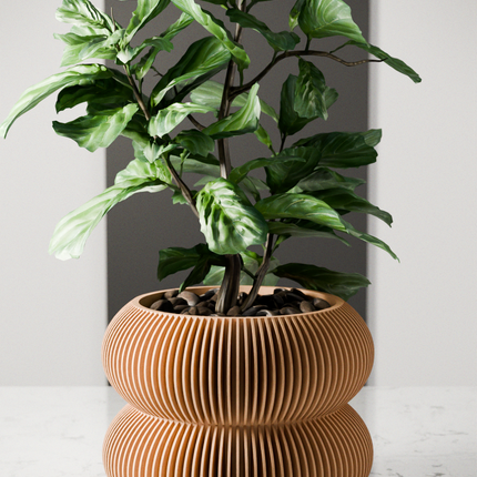 Double BUBBLES Planter-0