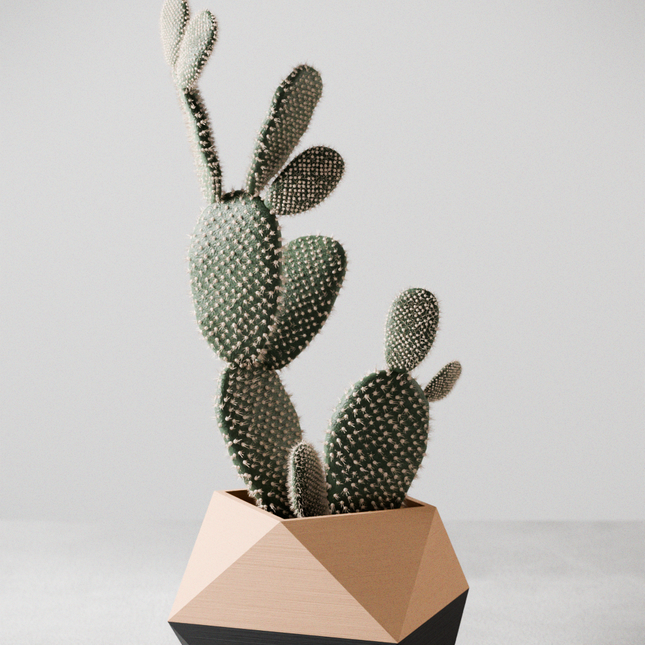 ICO Planter