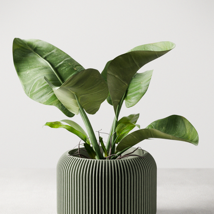 Orbis Planter-0