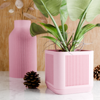 Blush Pink