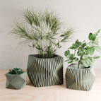 Muted Green