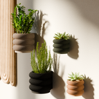 Natural Wood