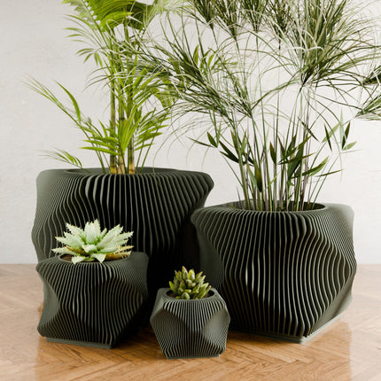 Xenova Planter-2
