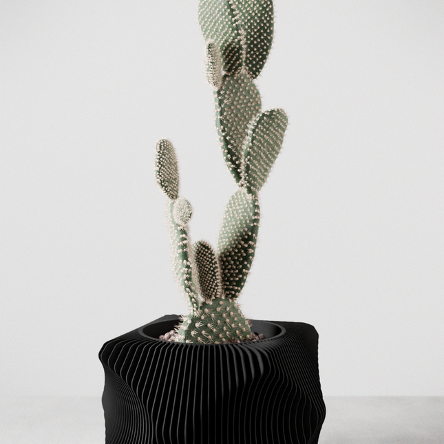 Xenova Planter-0