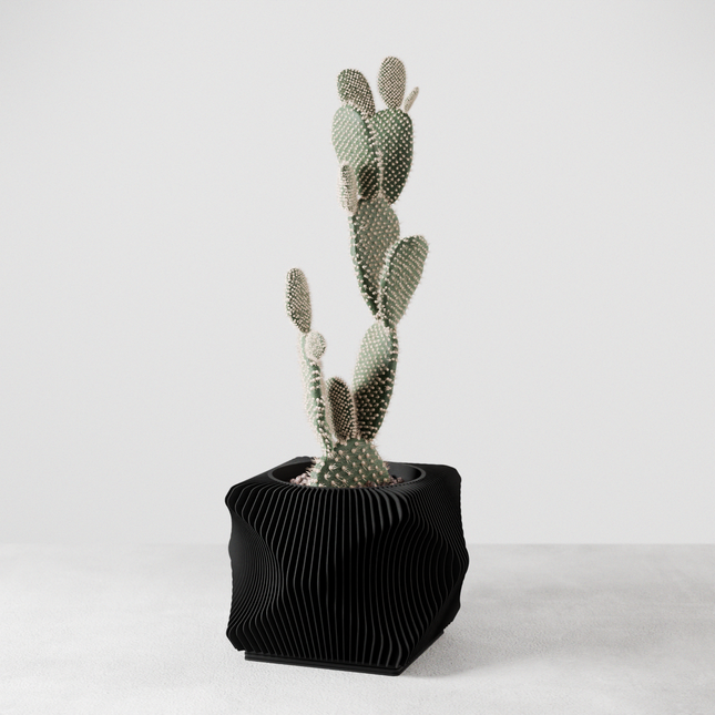 Xenova Planter-1