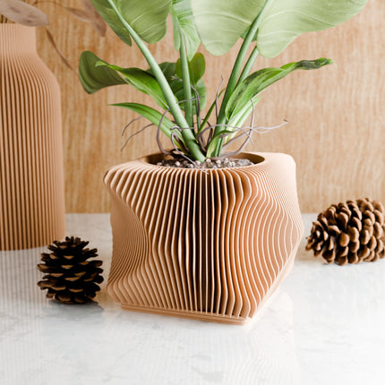 Xenova Planter-6